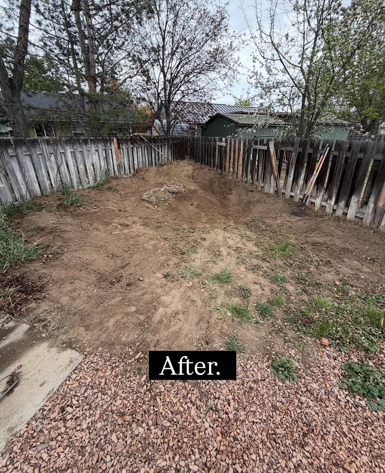 Cleared backyard